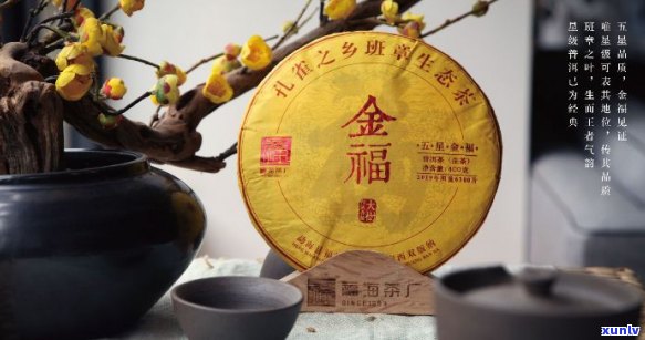 五星金福普洱茶价格