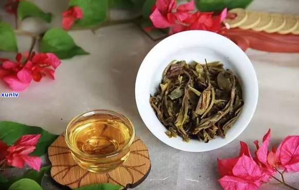 新 '家普洱茶：草木花香中的纯净之味'