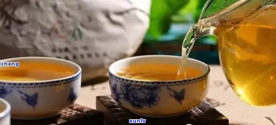 新 '家普洱茶：草木花香中的纯净之味'