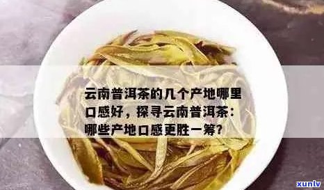 云南龙源号普洱茶：品质、产地、 *** 工艺与口感的全面解析