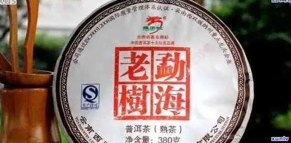 2007年龙园号普洱茶价格及品质全面解析，了解这款经典云南茶叶的途径