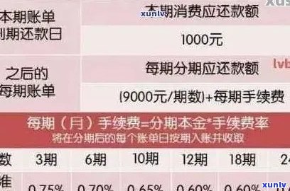 信用卡逾期：大额与小额逾期的影响及应对策略