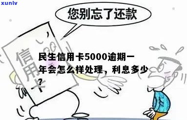 民生信用卡逾期5000元：处理 *** 、影响与解决方案全面解析