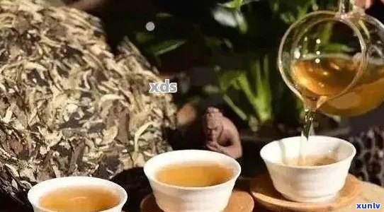 普洱茶的八大禁忌人群，你中了几个？