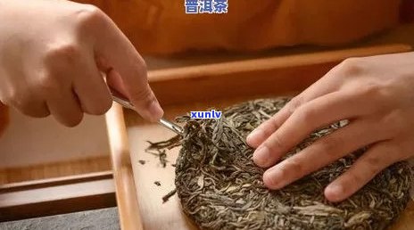 怎么切普洱茶饼不碎：窍门与技巧