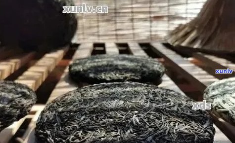 普洱茶发酵时间及影响因素全面解析：从多久到如何判断发酵是否成功