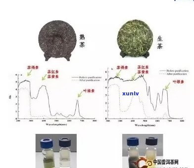 普洱茶与搭配使用：安全性、影响及注意事项全解析