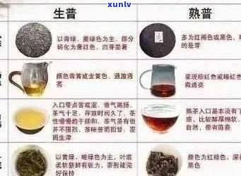 普洱茶与搭配使用：安全性、影响及注意事项全解析