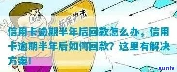 信用卡年费逾期怎么申述解决-信用卡年费逾期怎么申述解决的