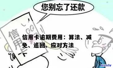 信用卡年费逾期解决方案：如何避免、支付和恢复信用