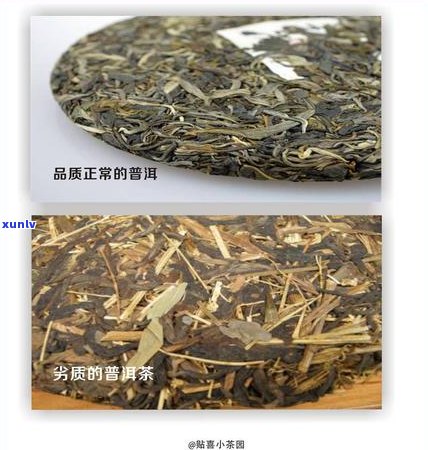 劣质普洱茶的用途及对身体健的影响：全面解析与警示