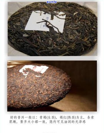 劣质普洱茶特点与影响：深入剖析其危害与作用