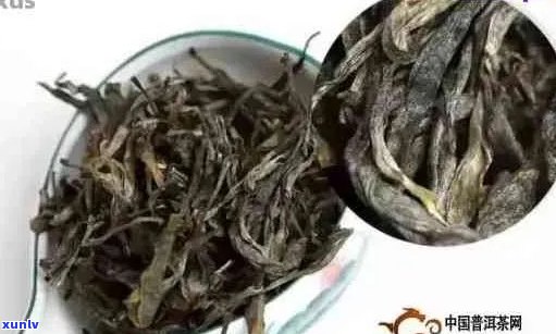 劣质普洱茶有什么用