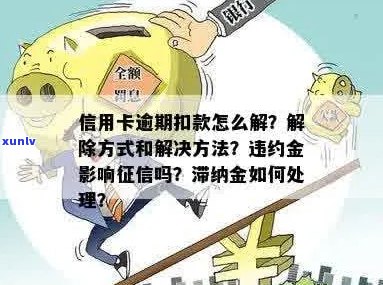 信用卡滞纳金收取策略：银行如何应对逾期还款问题？