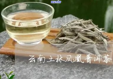 土林风凰普洱茶怎样