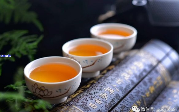 普洱茶对胃的影响：为何品茗后出现不适？