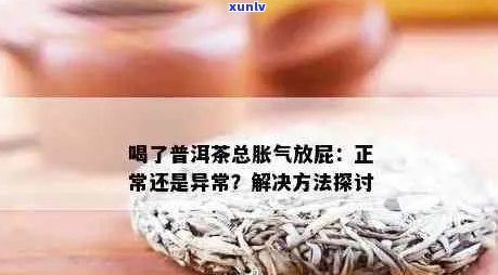 普洱茶：排气神器还是健隐患？为什么喝熟普洱会持续放屁的原因揭秘