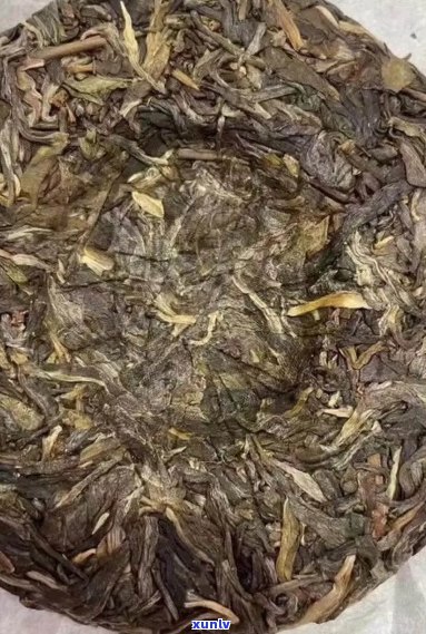 云南则道茶业2018曼松贡茶