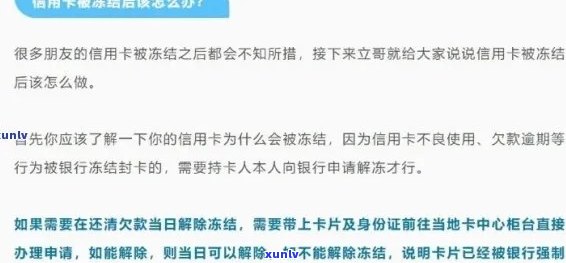 冻结信用卡的影响与解决方案：你的问题都在这里了