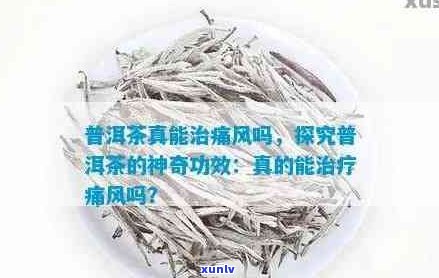 普洱茶：对痛风的全面疗效与适用人群探讨