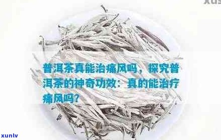 普洱茶与痛风：一种新的研究视角