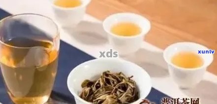 七岁小孩可以喝普洱茶吗？答案揭秘及注意事项