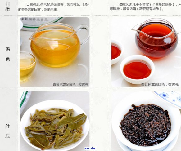 7岁儿是否适合饮用普洱茶：科学研究与家长指南