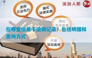 怎样查信用卡逾期金额：查询 *** 与明细记录