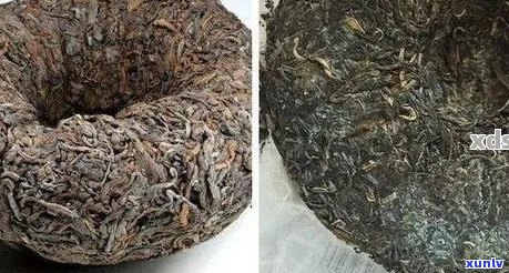 发霉的普洱茶怎么办还能喝吗？有吗？发霉的普洱茶还有什么用途？