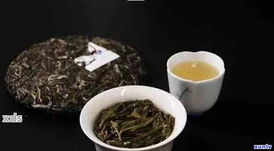 班章普洱茶珍品极客