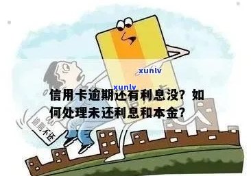 信用卡逾期还款策略：如何合理调整利息与本金，以避免进一步财务损失