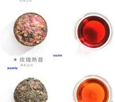 新大益茶玫瑰普洱茶：品种特点、口感鉴、泡法与功效一文解析