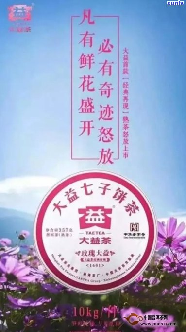 大益茶玫瑰大益介绍：1601价格，2016年品鉴，熟茶口感。