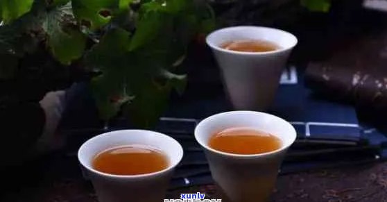 健身后喝普洱茶的好处与禁忌：是否适合喝普洱茶？