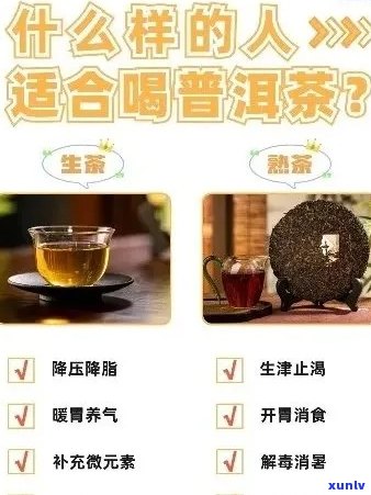 运动后能喝普洱茶么