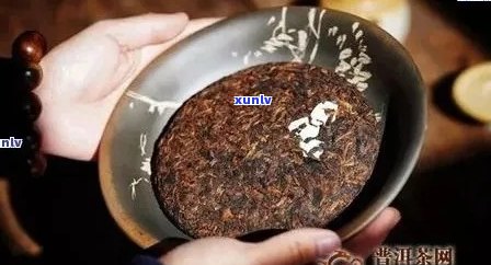 熟普洱茶怎么样喝好喝又香：品鉴与推荐