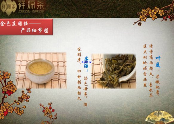 熟普洱茶：品鉴与饮用技巧详解，让你深入了解这一古老饮品的魅力所在