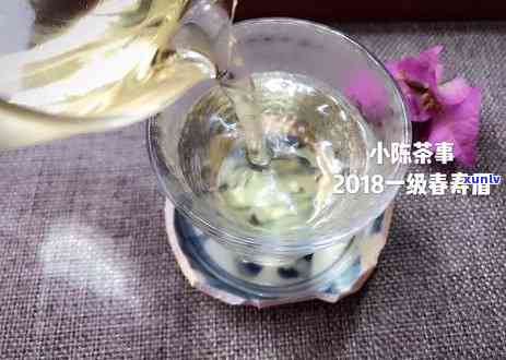 '熟普洱茶怎么喝才是正确喝法：掌握正确冲泡 *** ，避免伤胃与淡化口感'