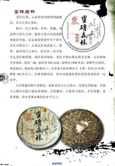 雪林普洱茶——哪里的、茶和特产？