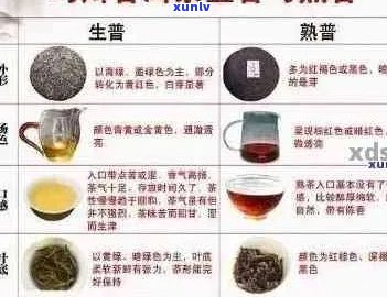 普洱茶包：品种、 ***  *** 、冲泡技巧与品饮体验全方位解析