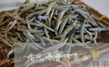 普洱茶苞能治痛风吗