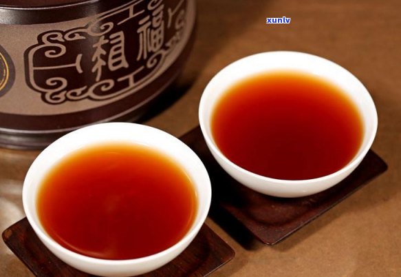 冷普洱茶：一杯解暑还是损害健？我们来一探究竟