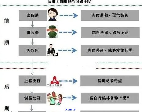 东城信用卡逾期处理全流程指南