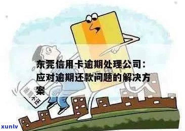 东城信用卡逾期处理全流程指南