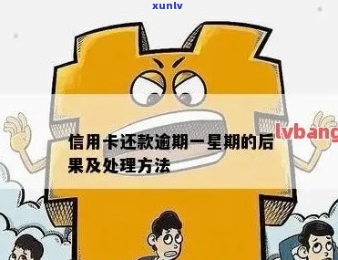 东城信用卡逾期处理全流程指南