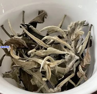 贡眉白茶：独特的普洱茶类还是独立的茶品？