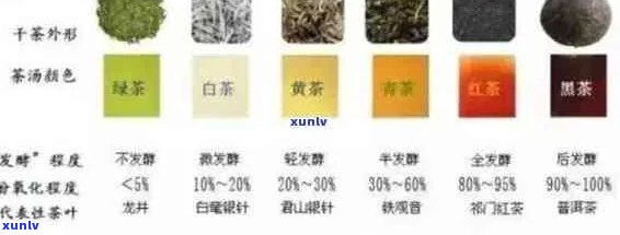 交替品味普洱茶与铁观音：口感对比研究