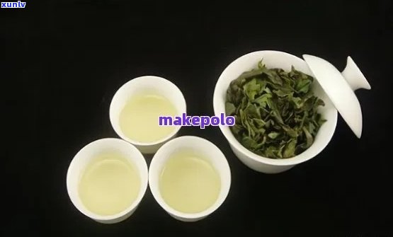 交替品味普洱茶与铁观音：口感对比研究