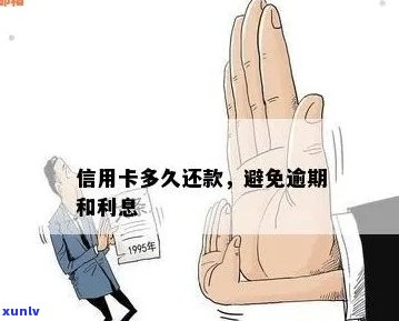 信用卡透支还款成本：如何避免逾期费用？