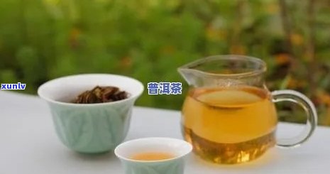 普洱茶生酶女性适宜饮用吗？适量饮用有何好处？